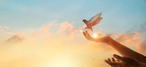 Hand and spiritual flight picture